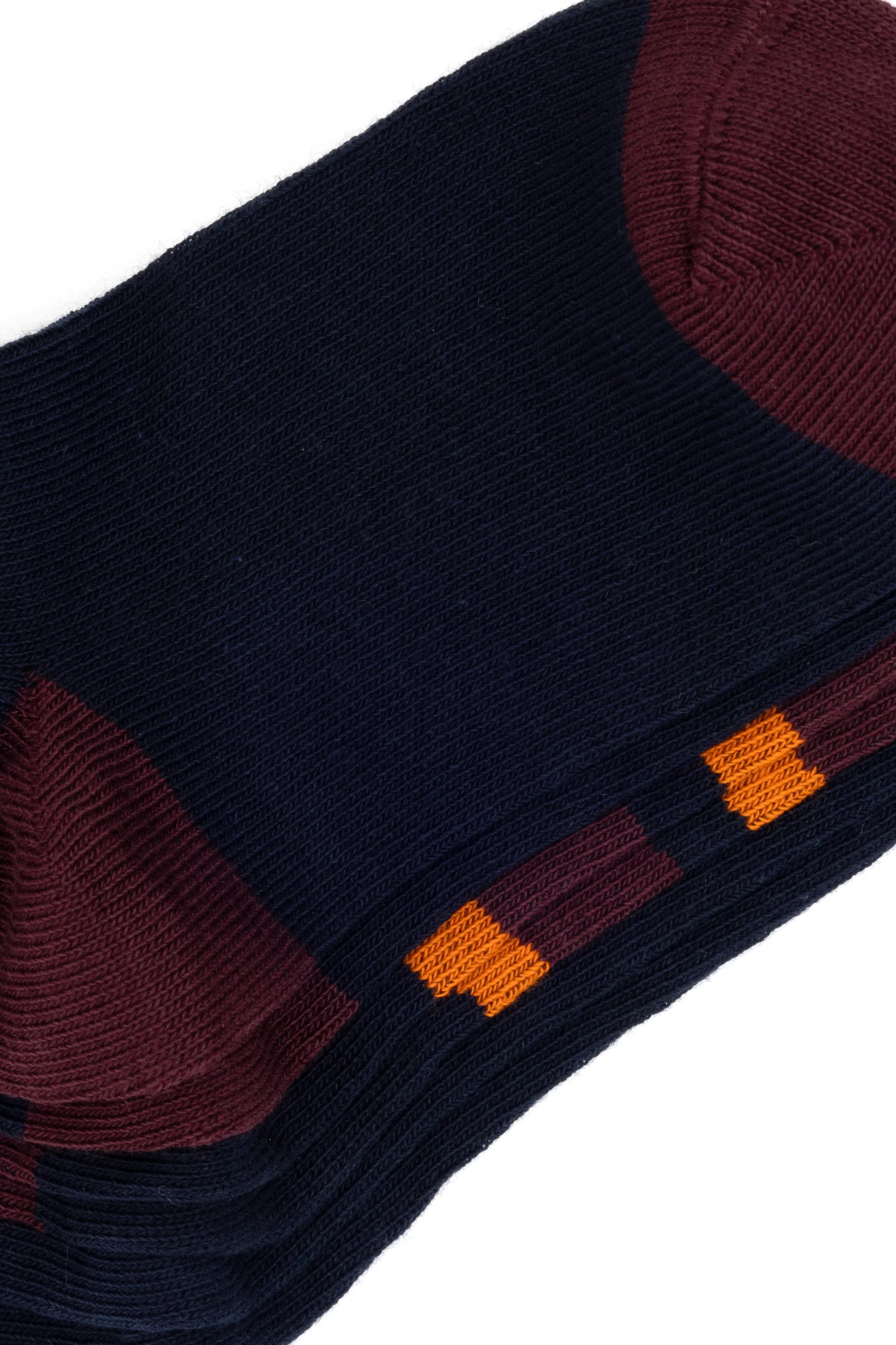 U.S. Polo Assn._Navy_Navy Socks Pack_A083SZ013P01 ZUMA-SK25_VR033_03