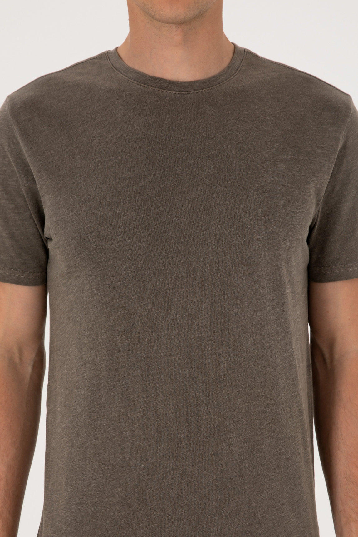 U.S. Polo Assn._Mink_T-Shirt_G081SZ0110 2084353_VR052_06