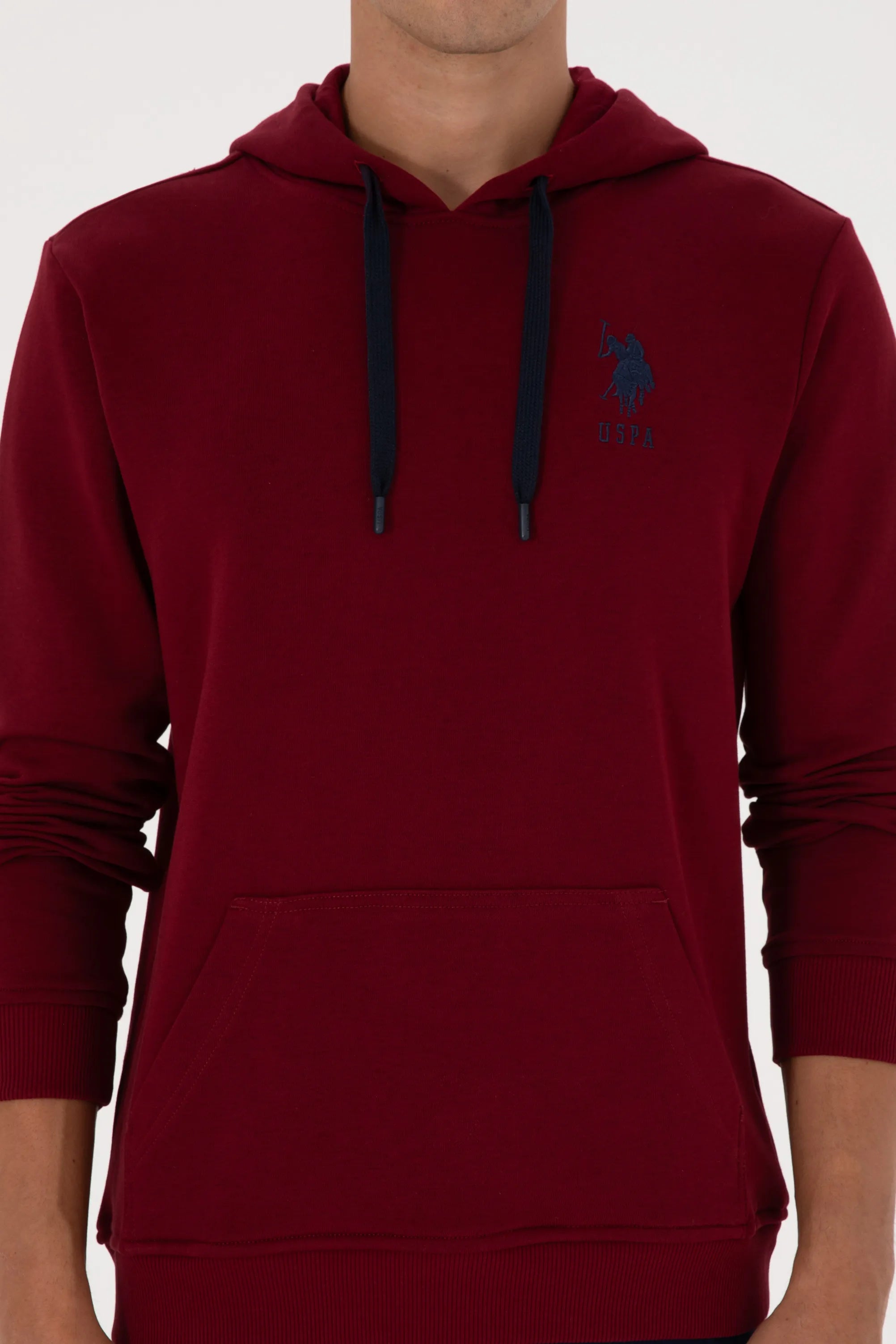 U.S. Polo Assn._Bordeaux_Bordeaux Hoodie With Logo_G081SZ0820 2225794_VR014_06