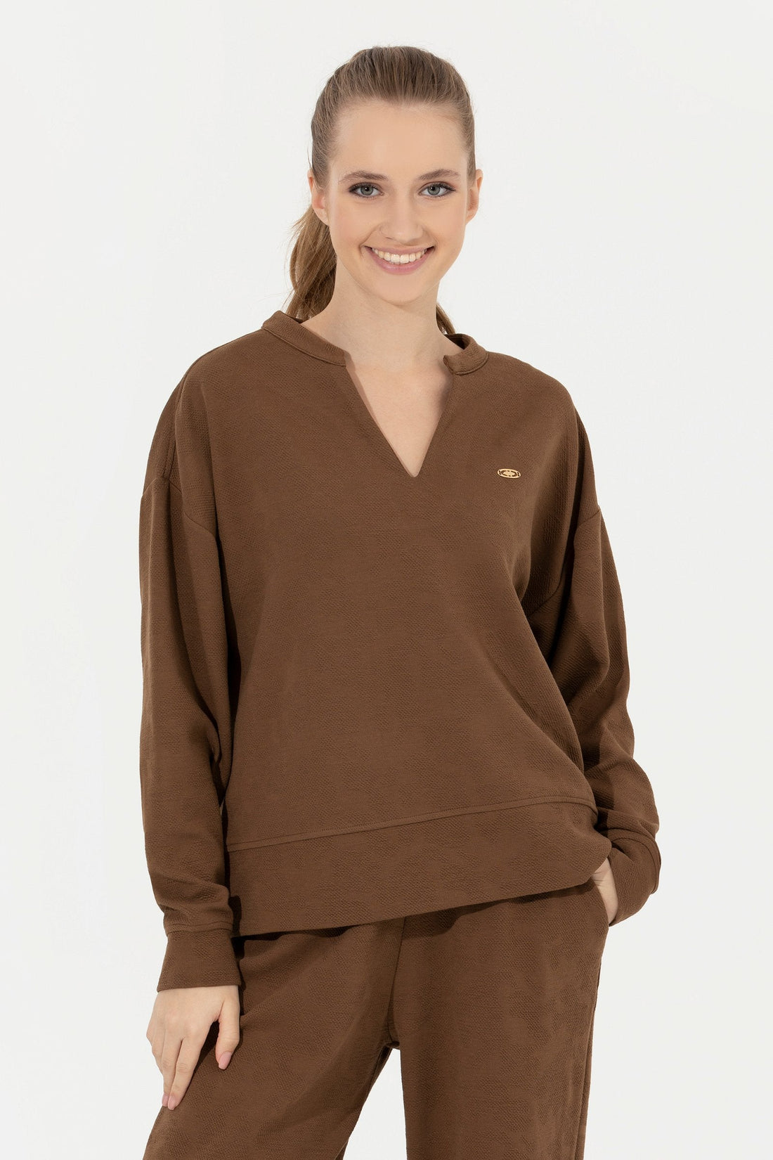 Brown Sweat Shirt U.S. Polo Assn.
