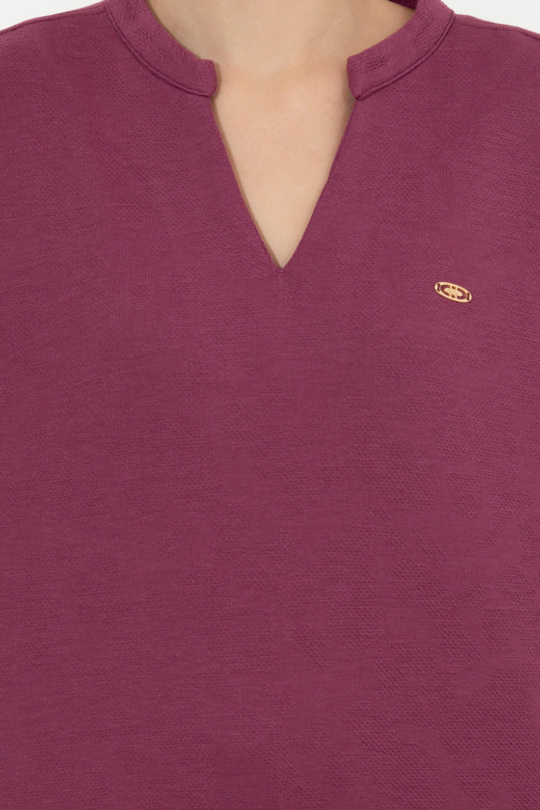 Mauve Sweat Shirt U.S. Polo Assn.