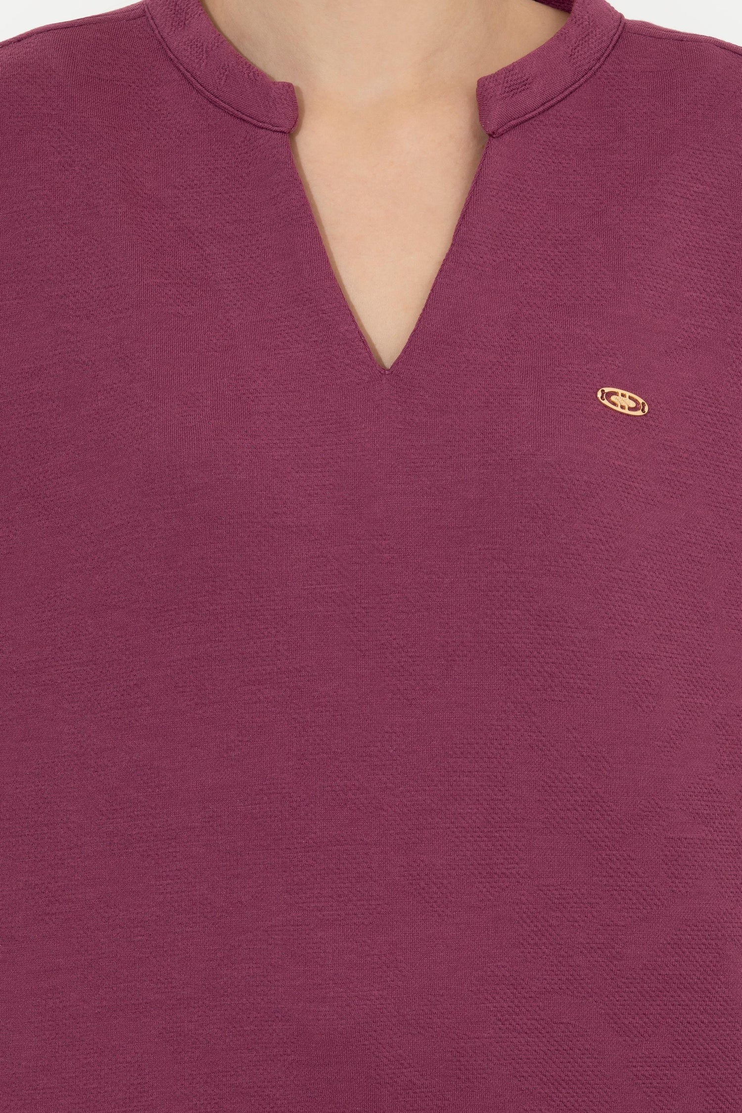 Mauve Sweat Shirt U.S. Polo Assn.