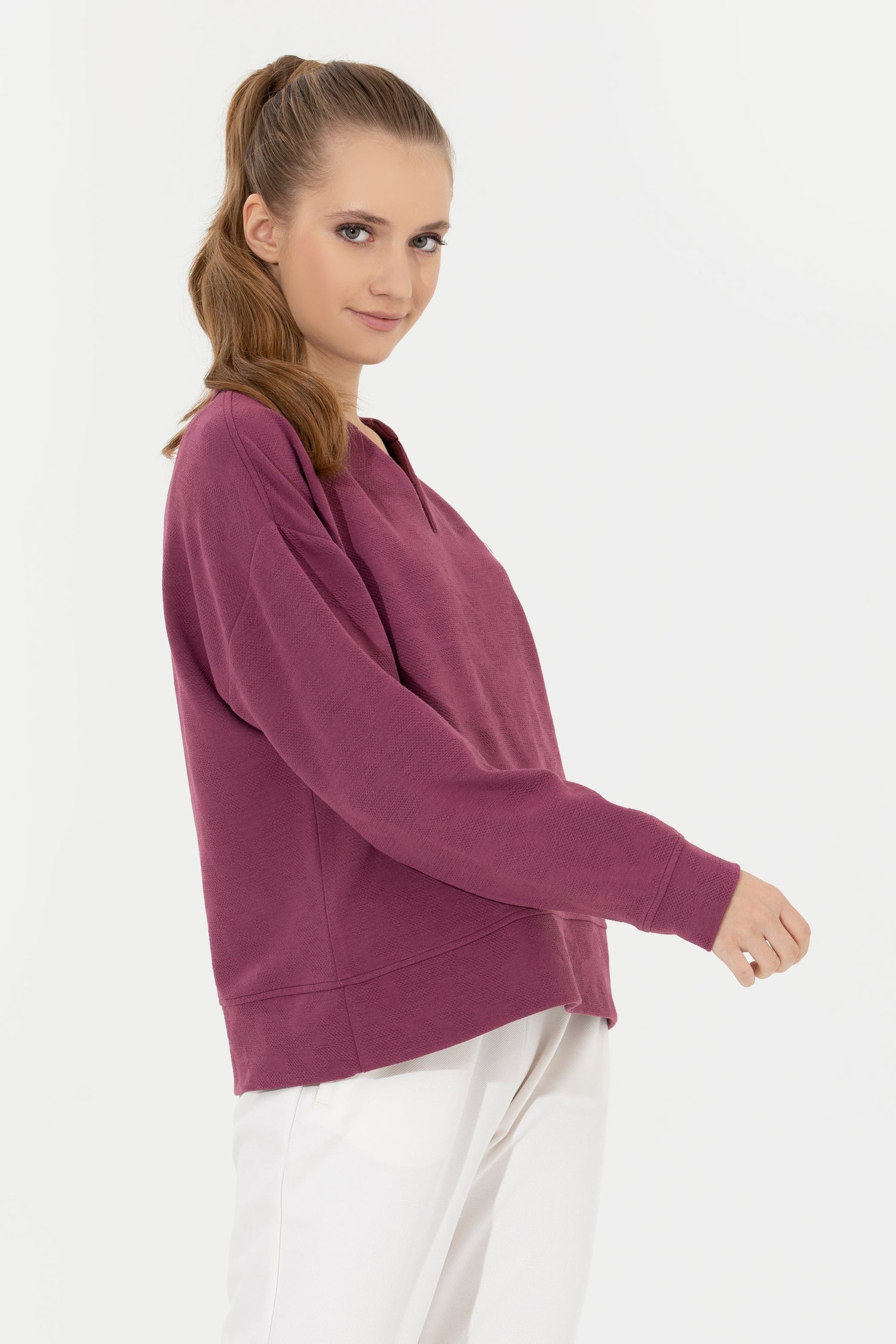 Mauve Sweat Shirt U.S. Polo Assn.
