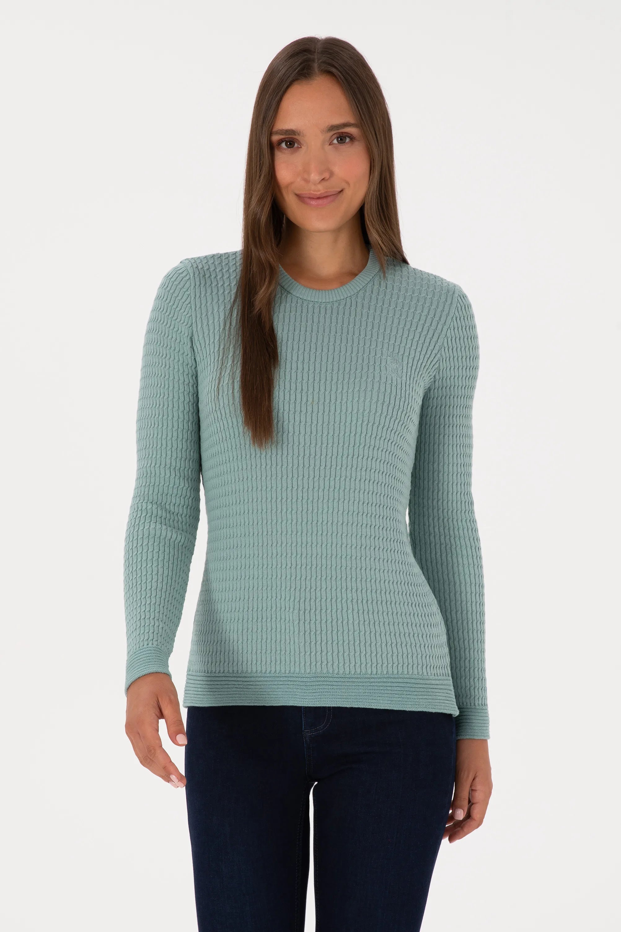 U.S. Polo Assn._Mint_Mint Knitted Pullover_G082SZ0TK0 2226393_VR090_03