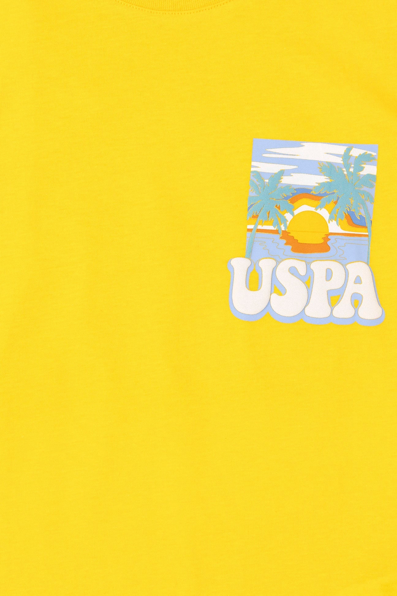 Yellow Graphic T-Shirt_G083SZ0110 1825571_VR043_03