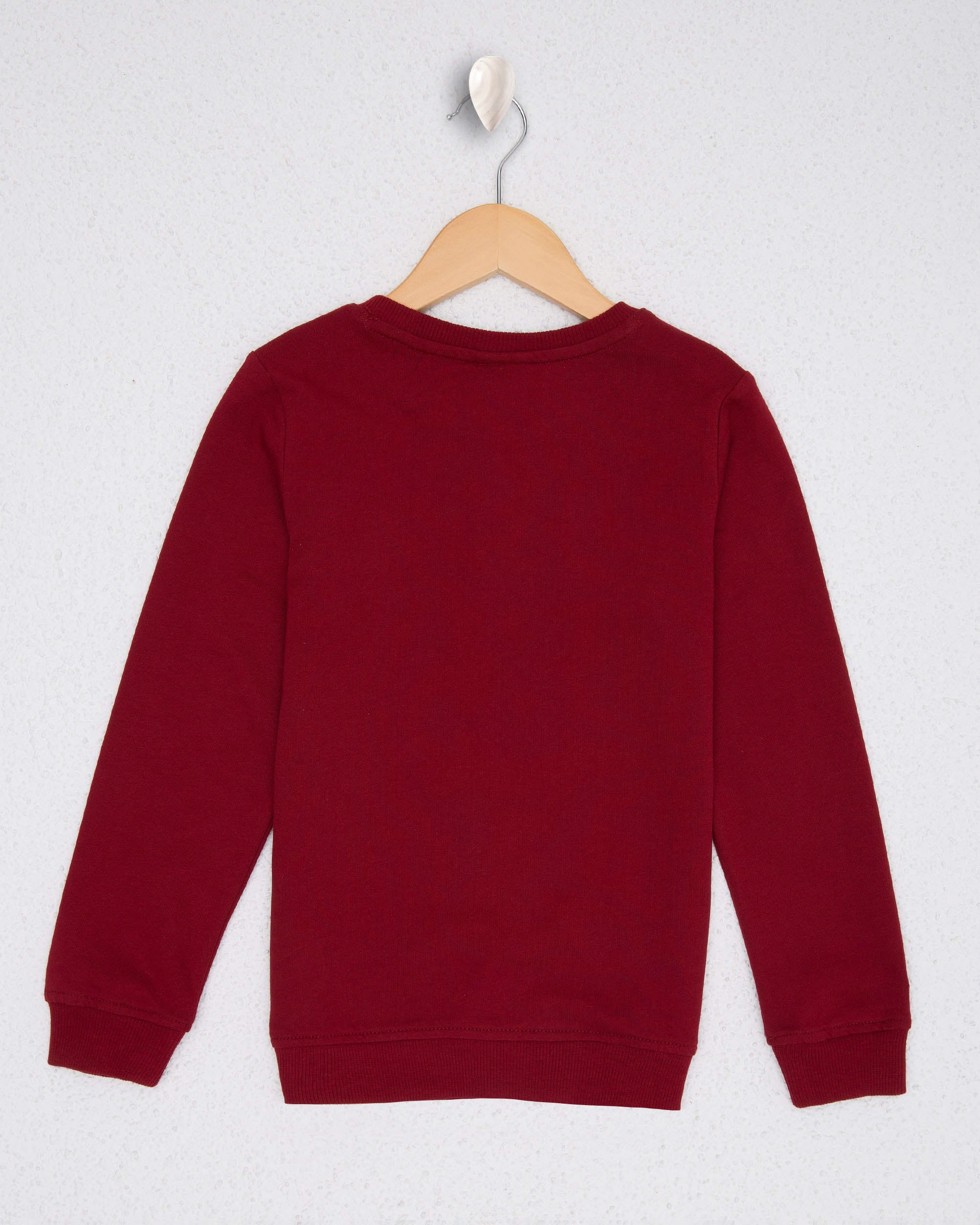 Red Sweat Shirt U.S. Polo Assn.