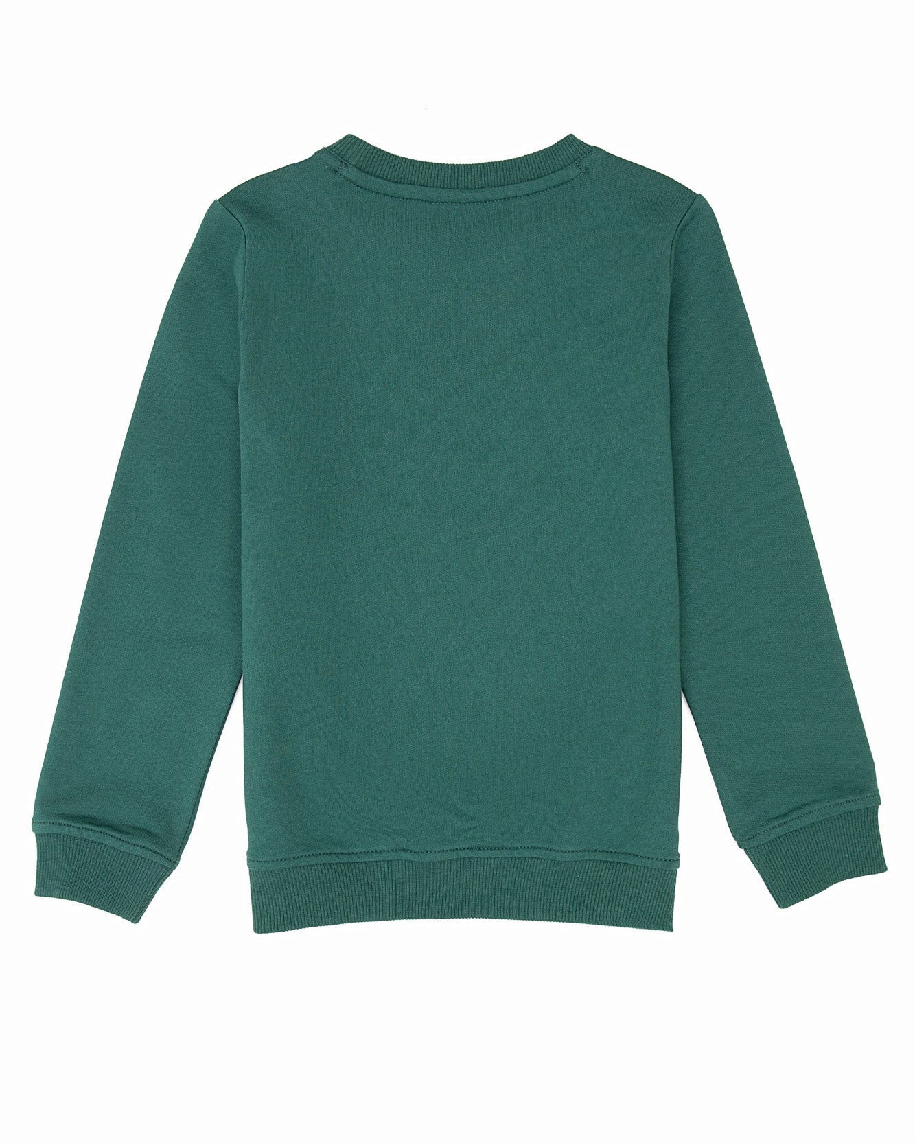 Green Sweat Shirt U.S. Polo Assn.