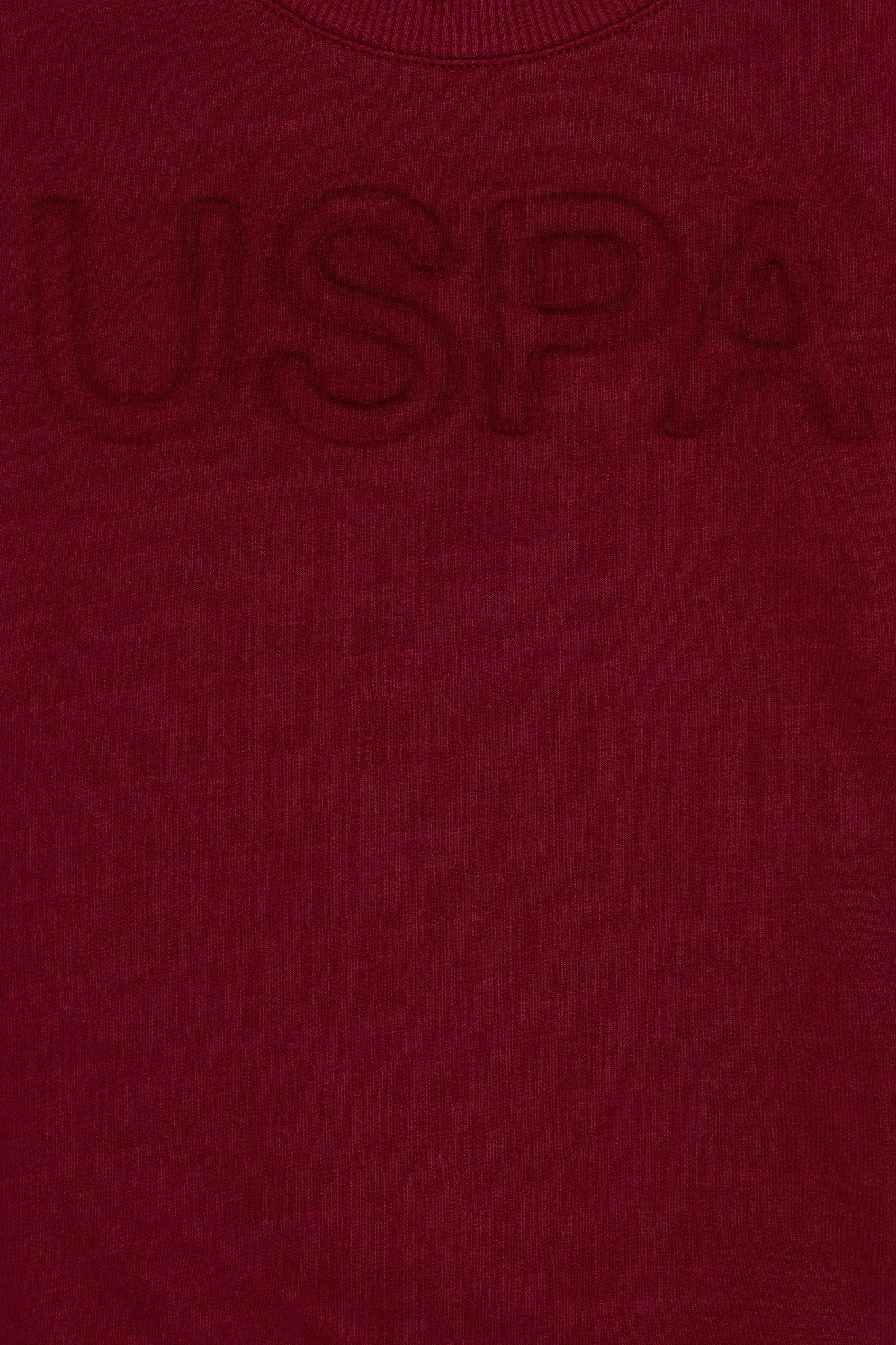 Red Sweat Shirt U.S. Polo Assn.