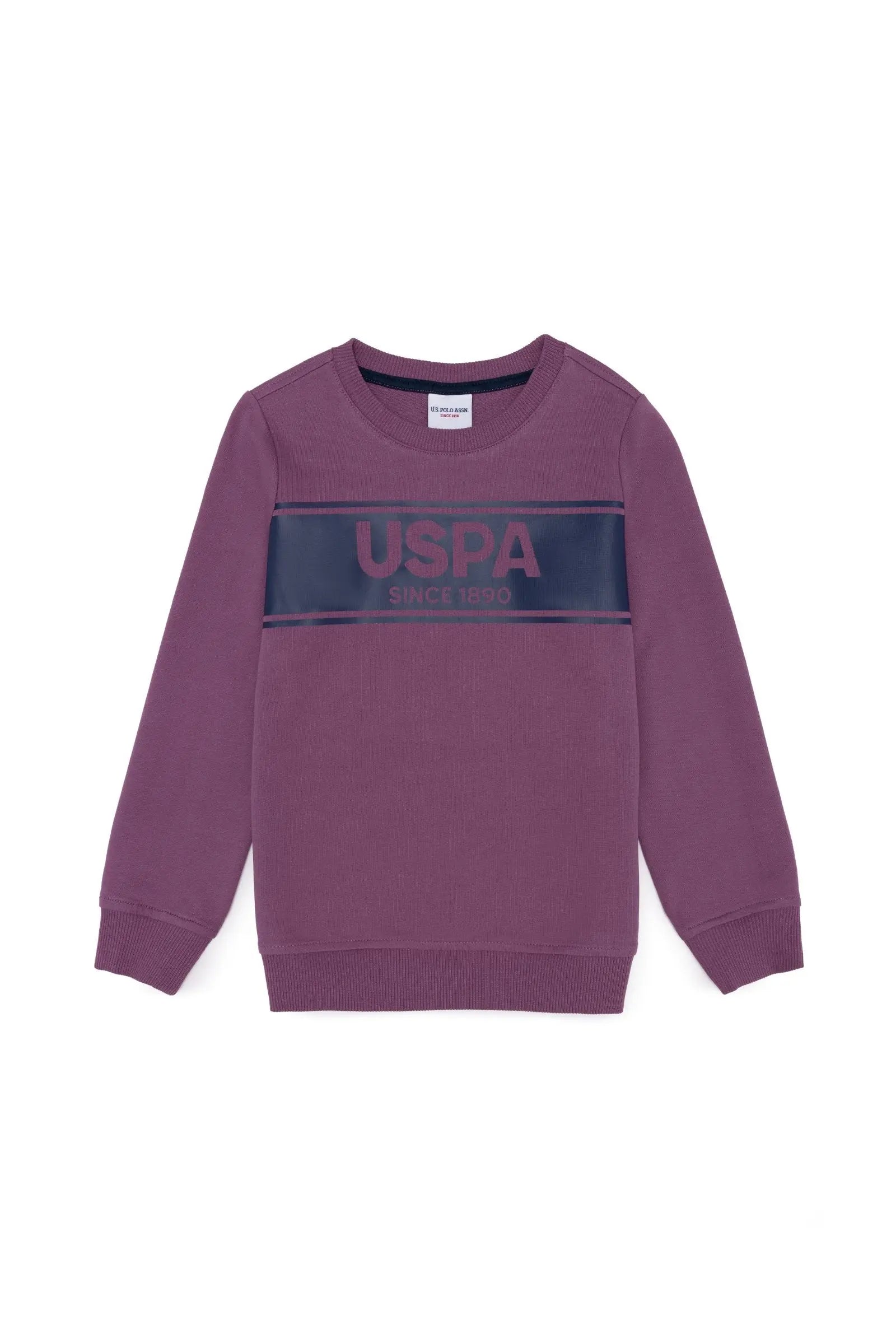 Mauve Sweat Shirt - BEVAVA
