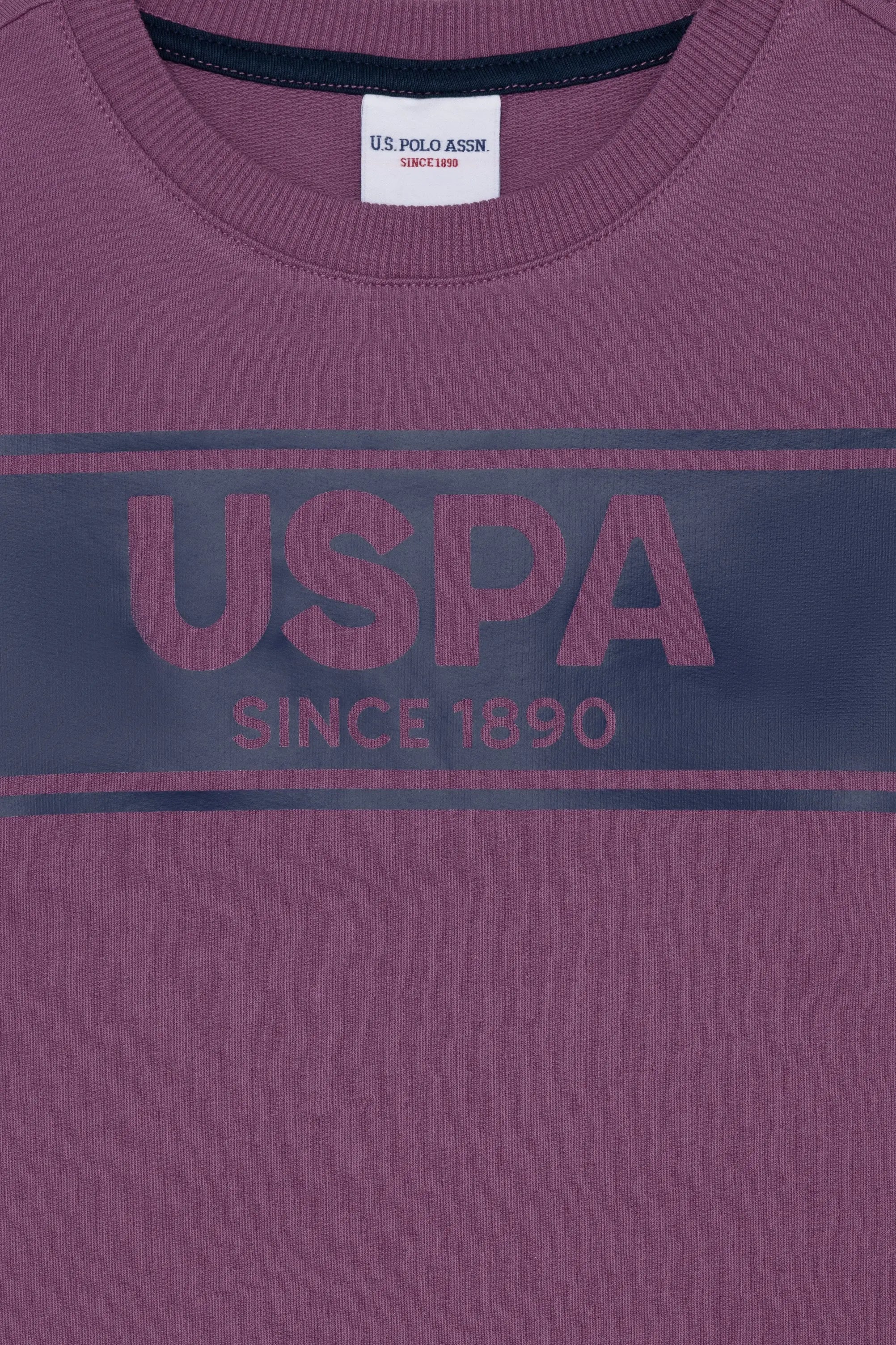 Mauve Sweat Shirt - BEVAVA