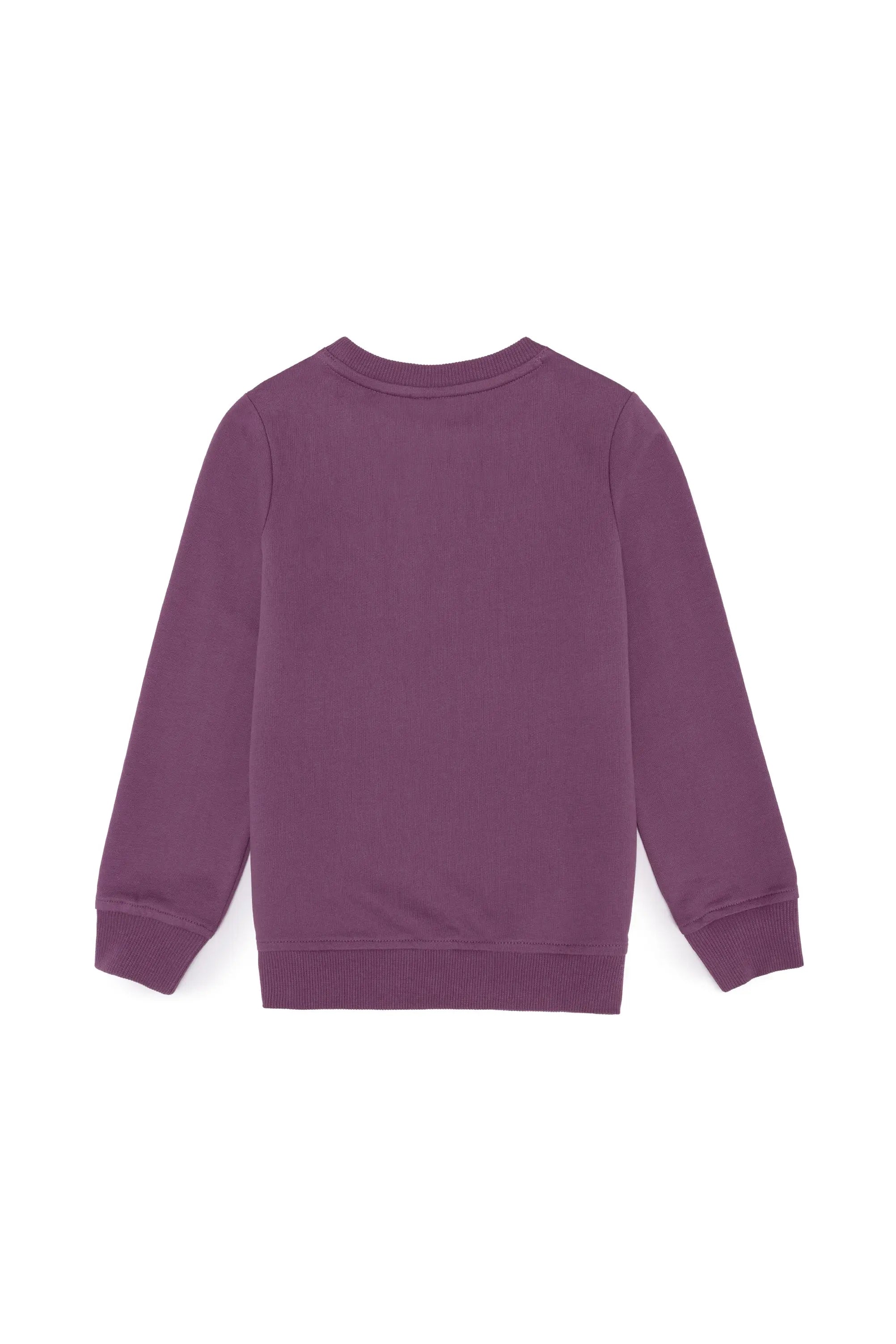 Mauve Sweat Shirt - BEVAVA