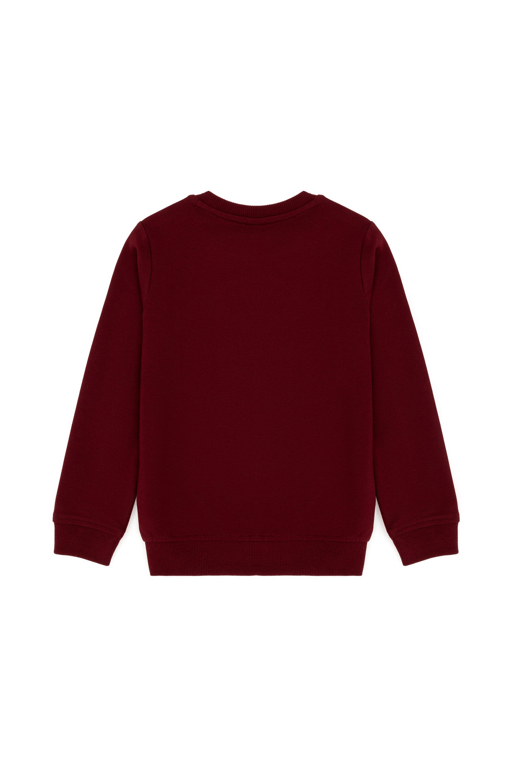 Red Sweatshirt_G083SZ0820 1639220_VR014_03