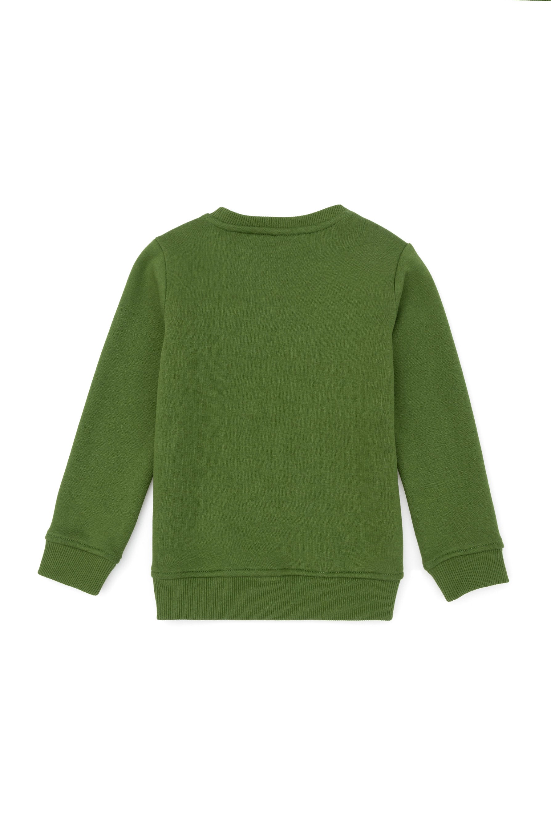 Green Sweatshirt_G083SZ0820 1668037_VR054_01
