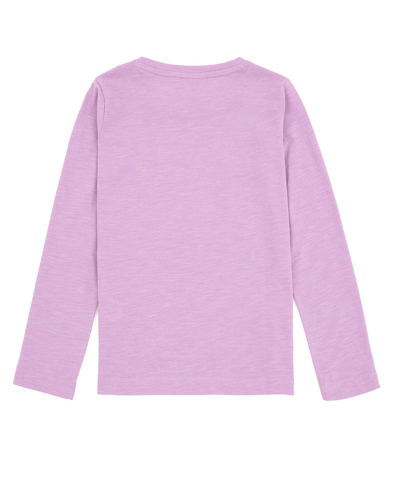 Mauve Sweat Shirt U.S. Polo Assn.