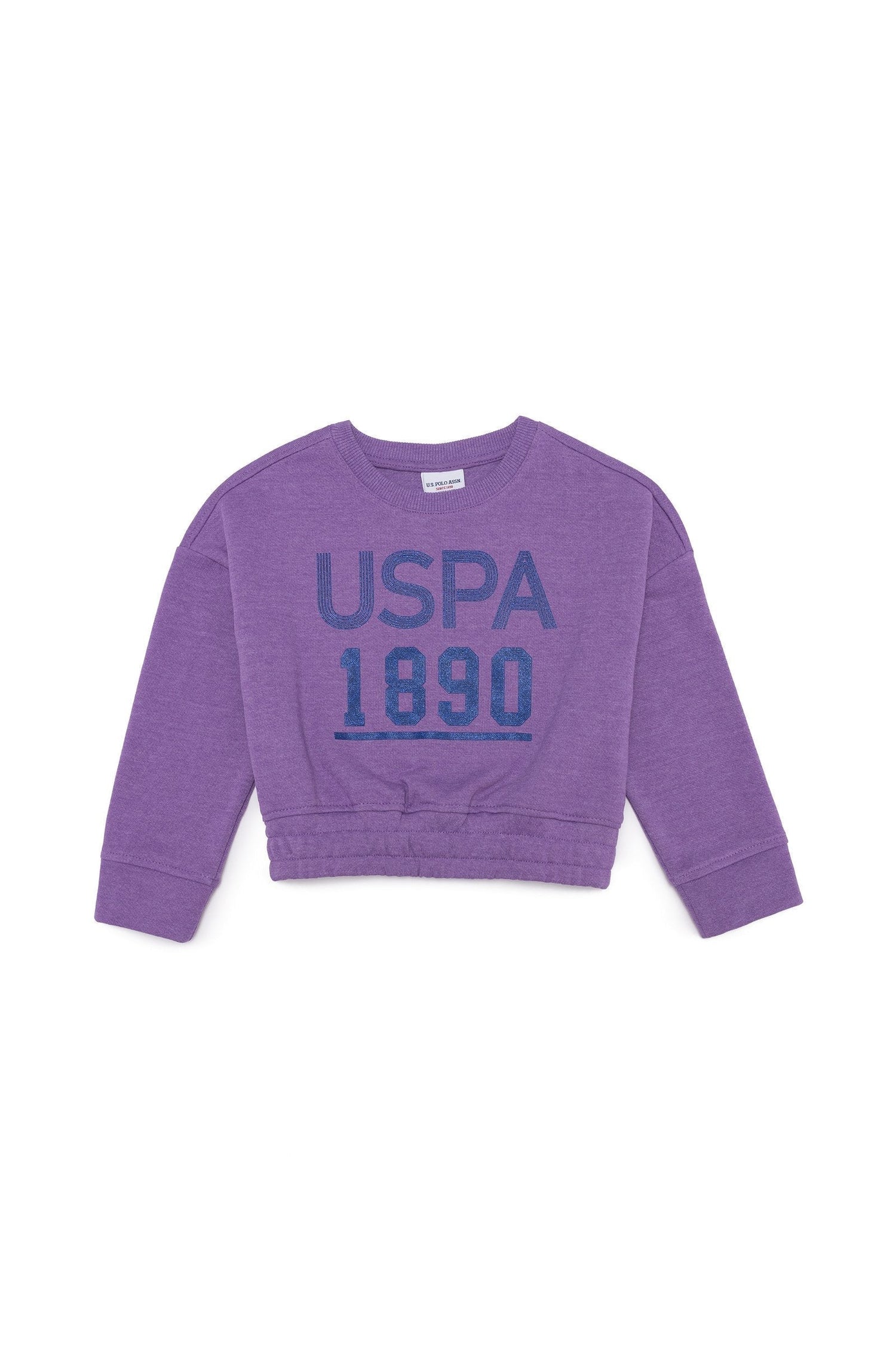 Mauve Sweat Shirt U.S. Polo Assn.