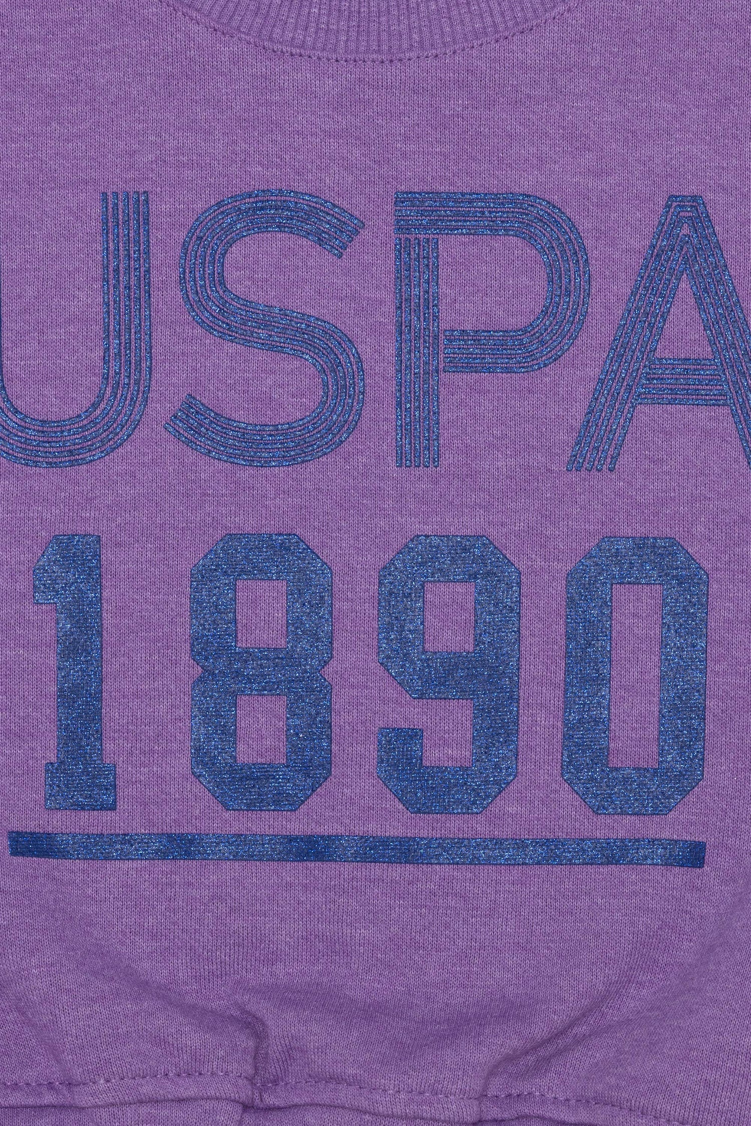 Mauve Sweat Shirt U.S. Polo Assn.