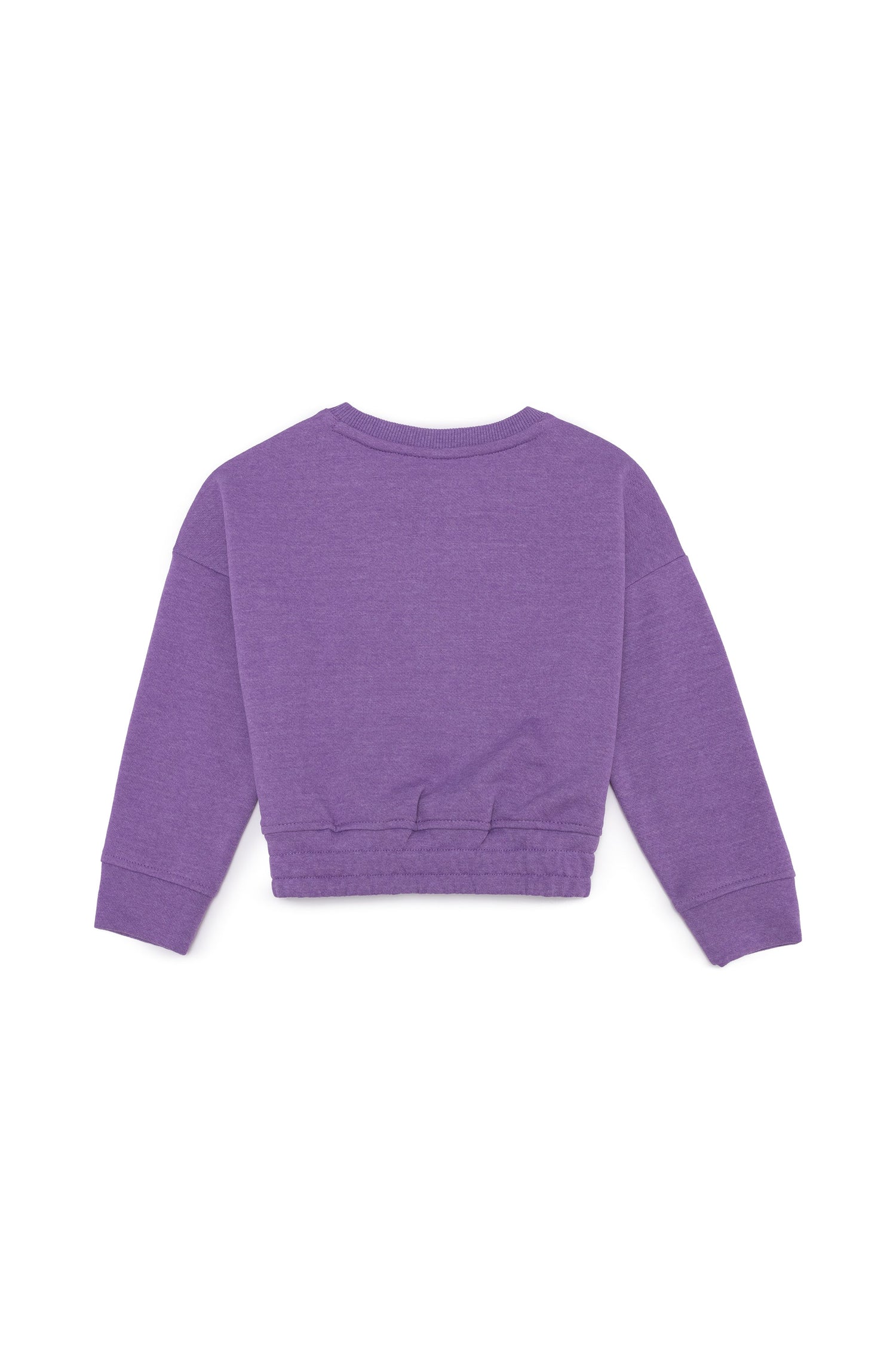 Mauve Sweat Shirt U.S. Polo Assn.