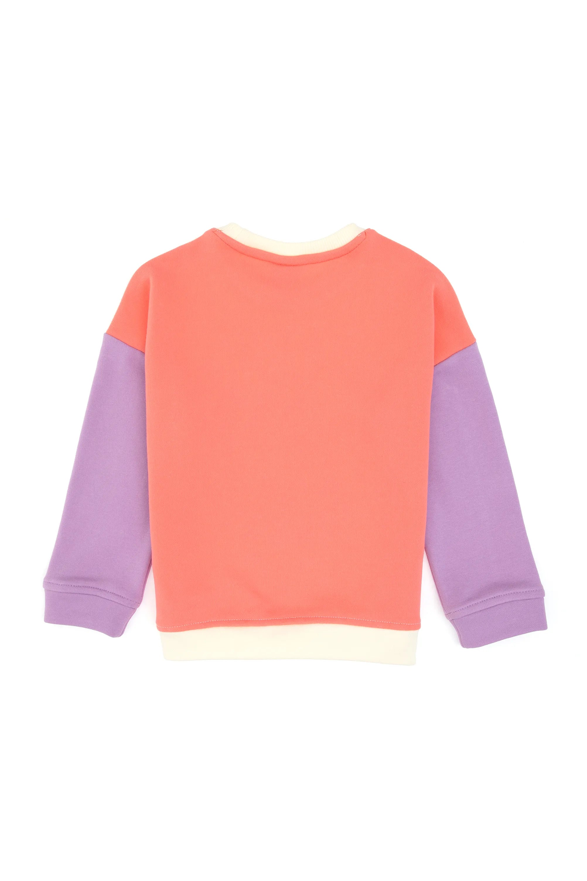 U.S. Polo Assn._Pearl_Pearl Sweatshirt With Design_G084SZ0820 PU-8011_VR256_03