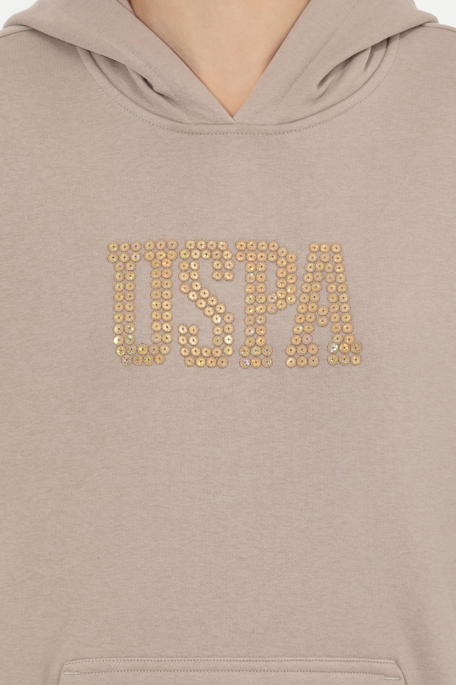 Beige Sweat Shirt U.S. Polo Assn.