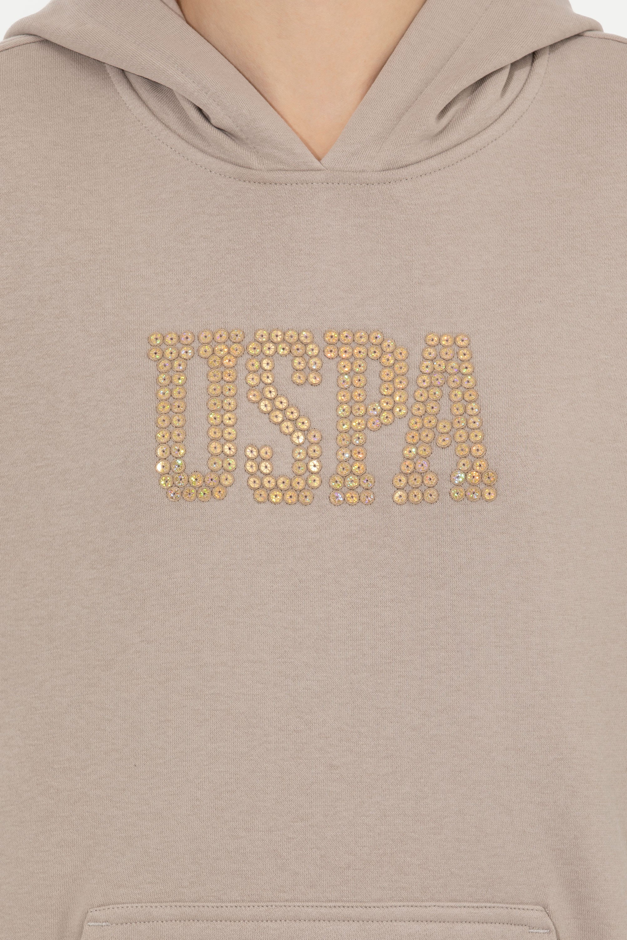 Beige Sweat Shirt U.S. Polo Assn.