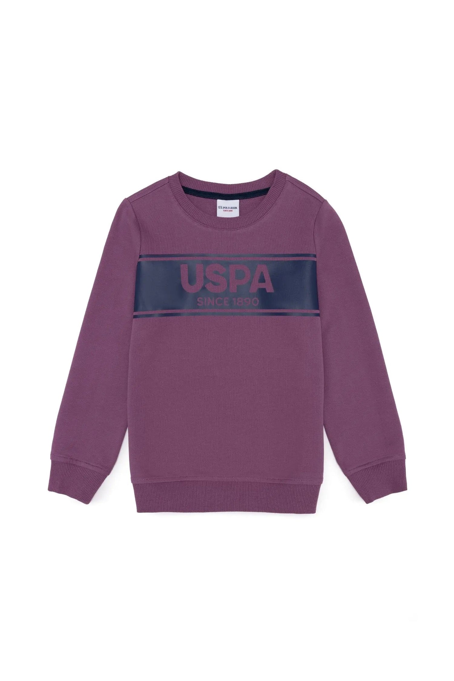 Mauve Sweat Shirt - BEVAVA