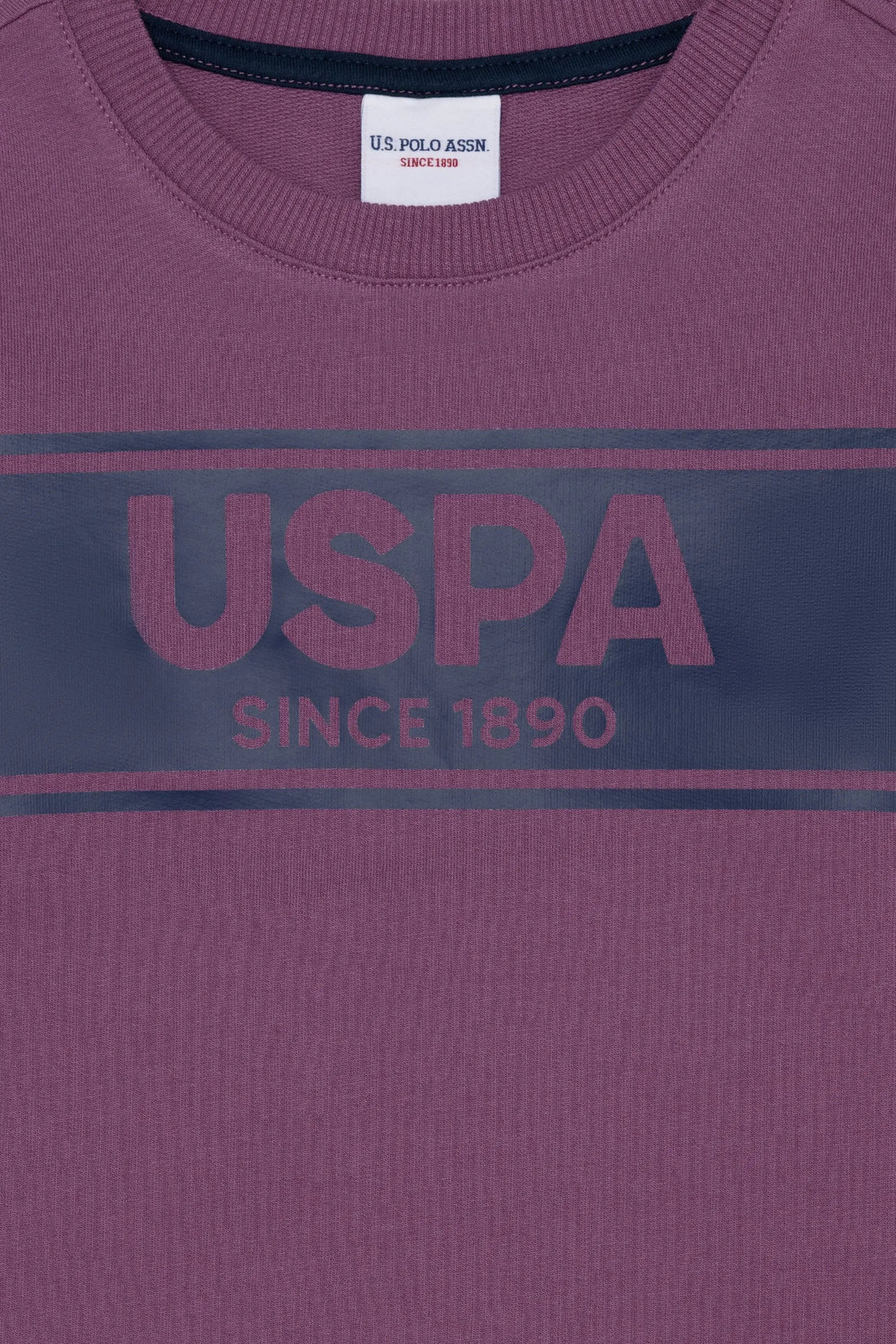 Mauve Sweat Shirt - BEVAVA