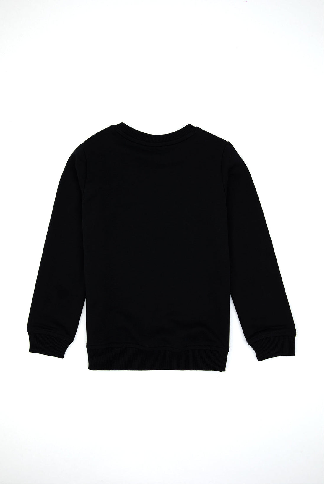 U.S. Polo Assn._Black_Black Sweat Shirt_G083SZ0820 2226881_VR046_02