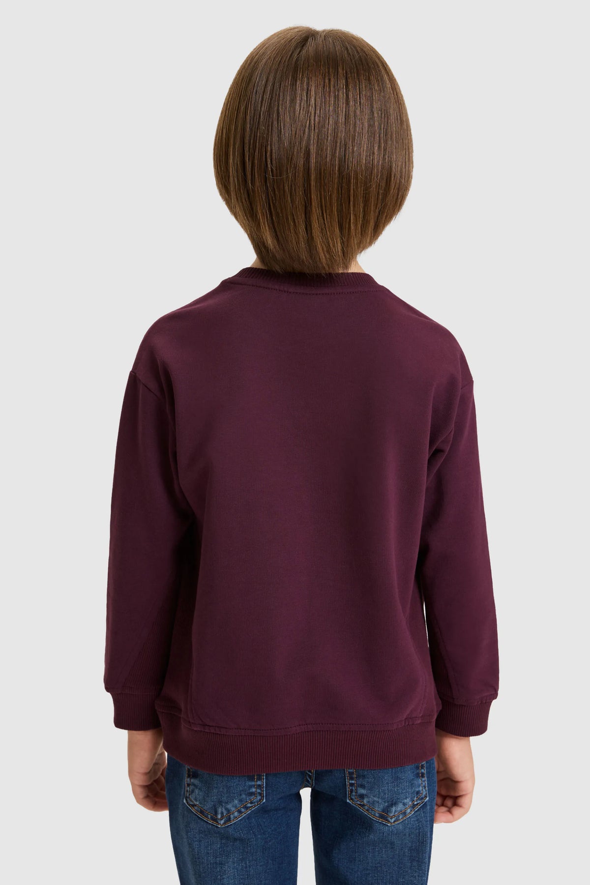U.S. Polo Assn. Dark Plum Boys Dark Plum Crew Neck Printed Sweatshirt SKU: G083SZ0820 PU-13774_VR180 Image 05