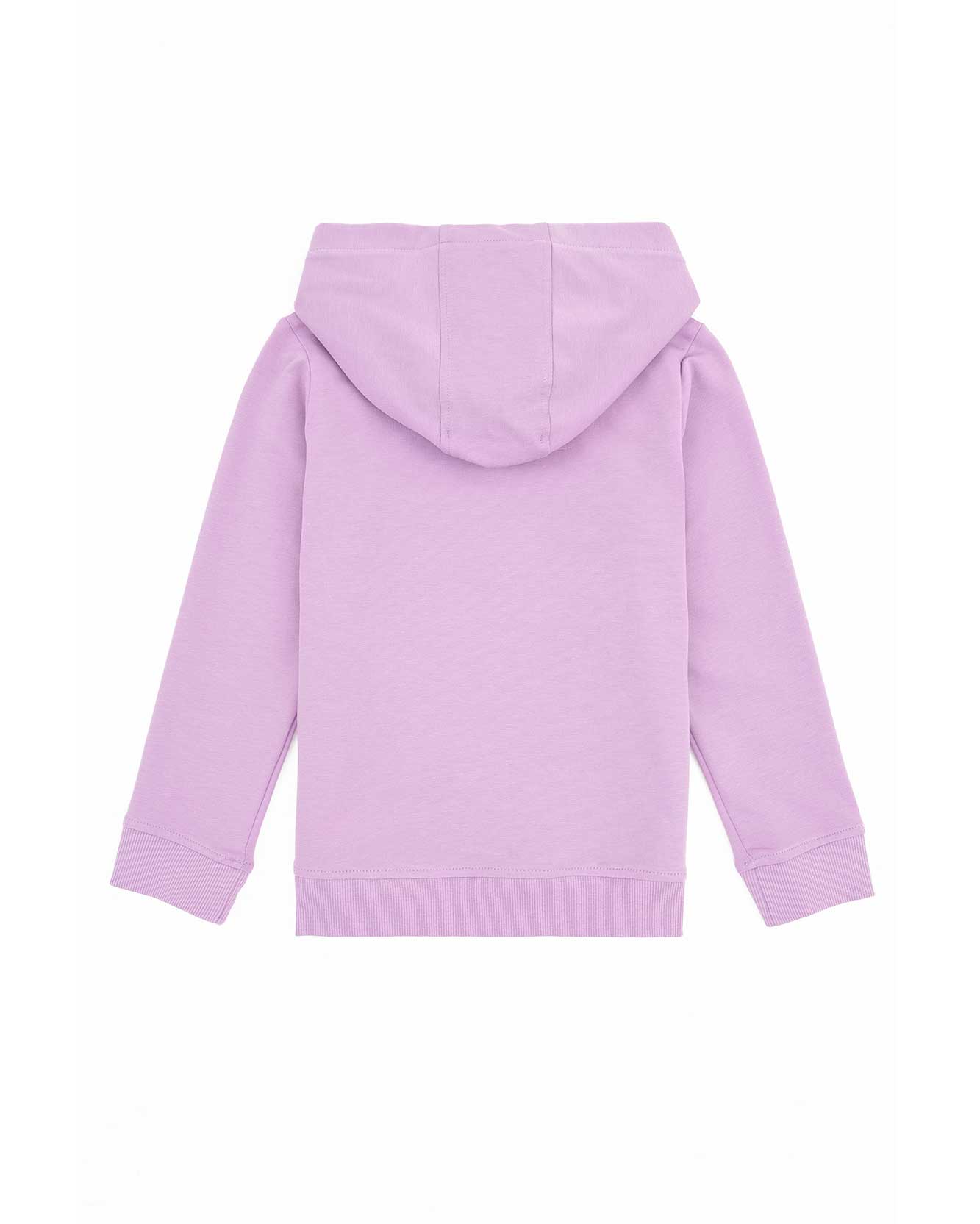 Mauve Sweat Shirt U.S. Polo Assn.