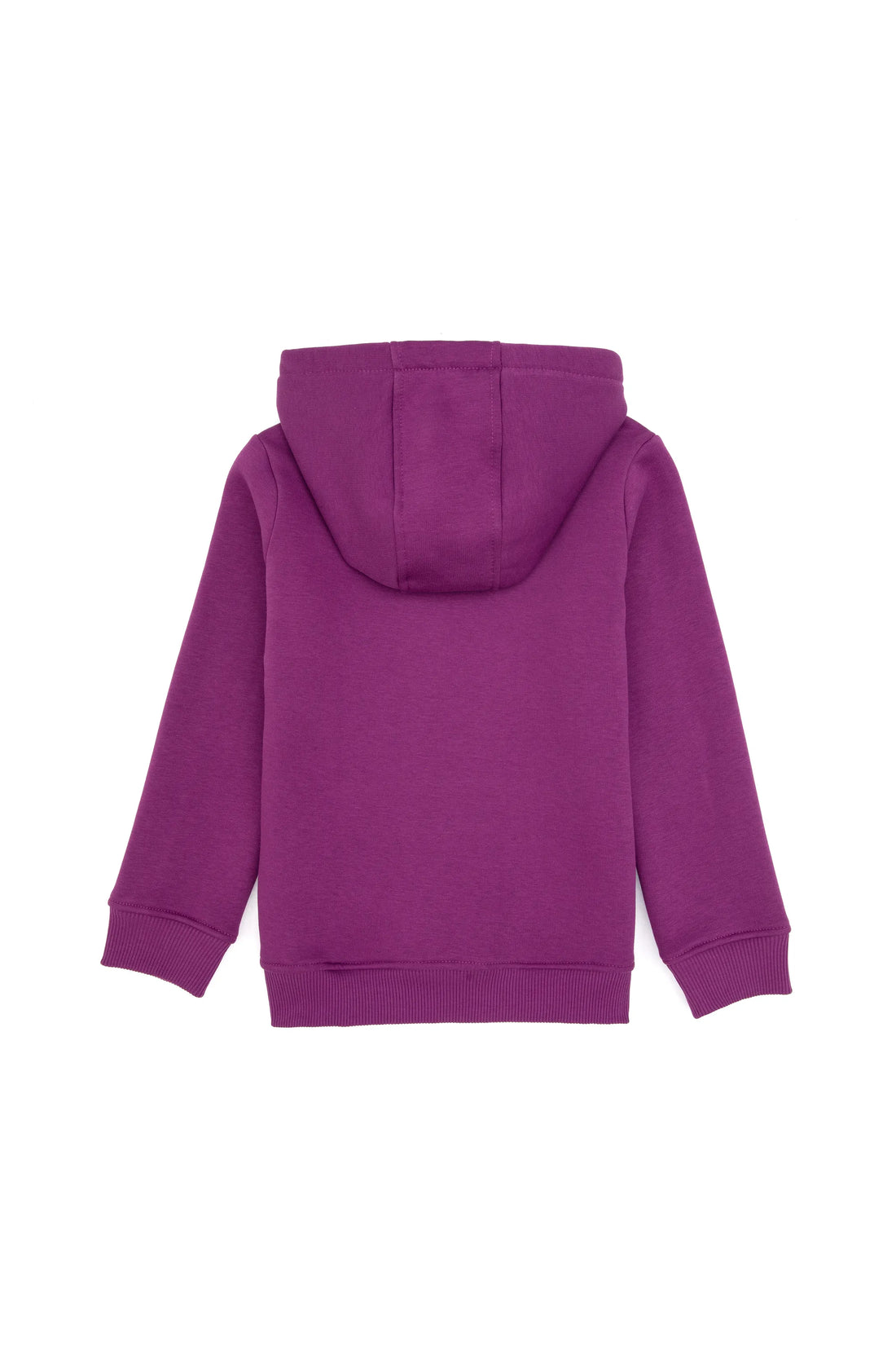 U.S. Polo Assn._Violet_Violet Sweat Shirt_G084SZ0820 PU-7878_VR037_02