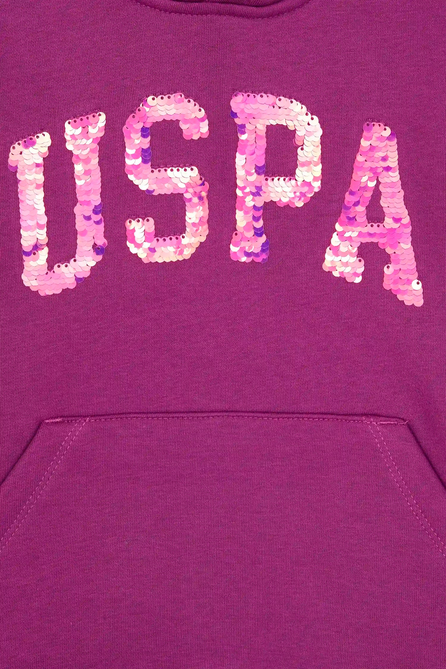 U.S. Polo Assn._Violet_Violet Sweat Shirt_G084SZ0820 PU-7878_VR037_03