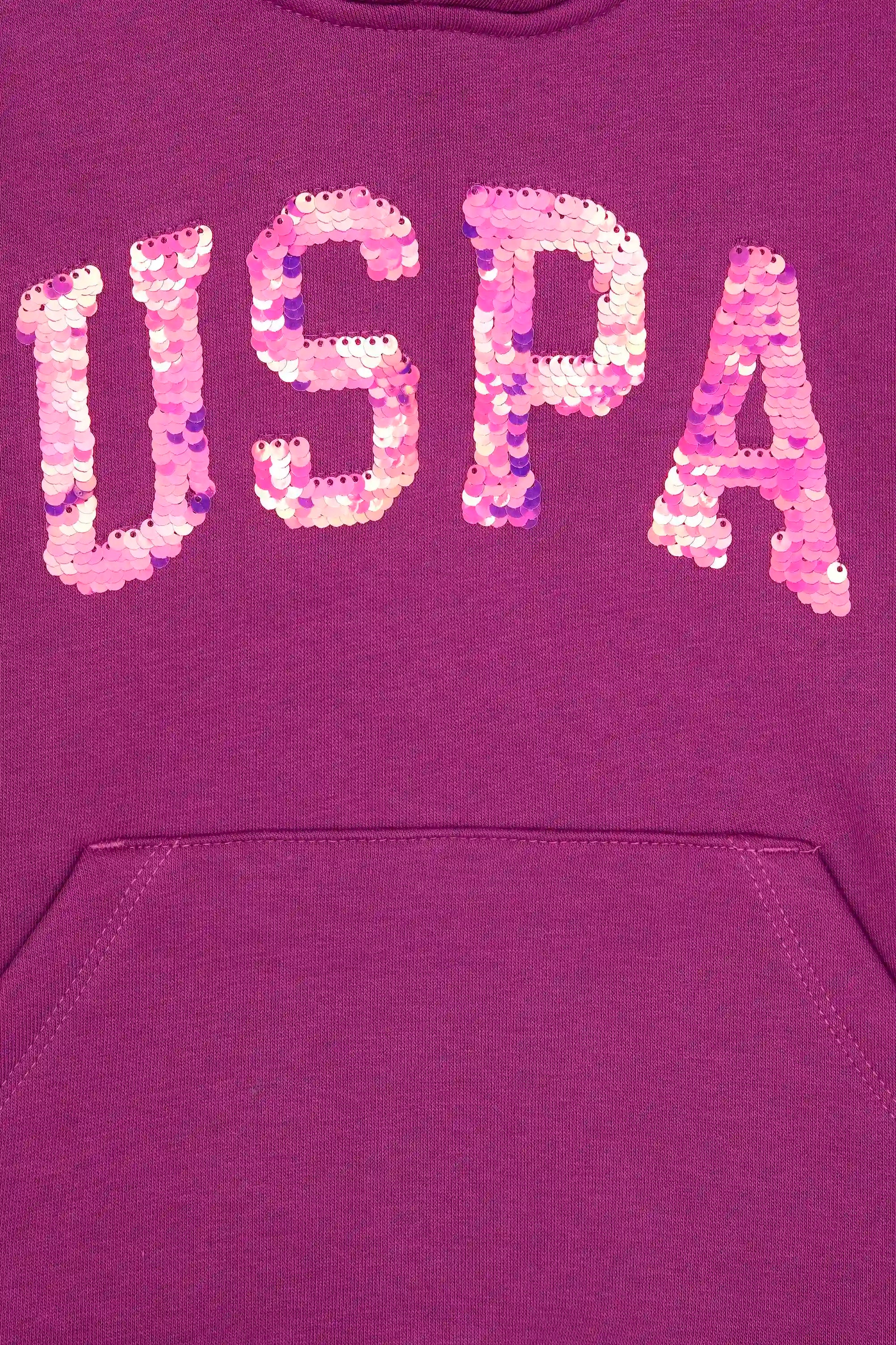 U.S. Polo Assn._Violet_Violet Sweat Shirt_G084SZ0820 PU-7878_VR037_03