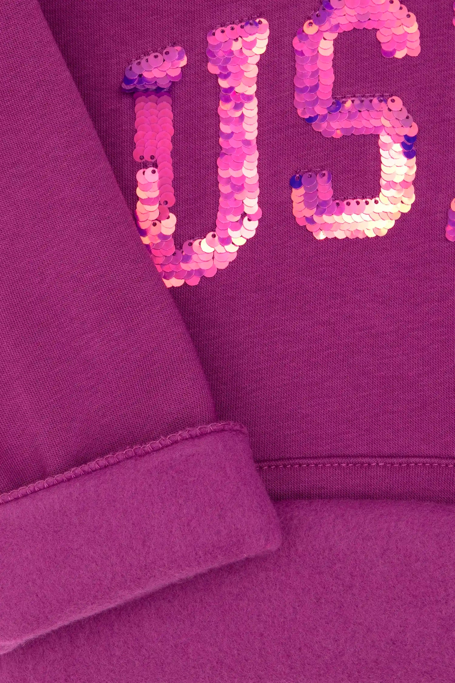U.S. Polo Assn._Violet_Violet Sweat Shirt_G084SZ0820 PU-7878_VR037_04
