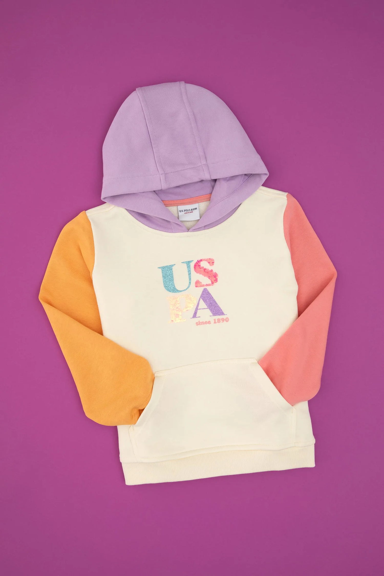 U.S. Polo Assn._Pearl_Pearl Hoodie with Logo_G084SZ0820 PU-7981_VR256_01