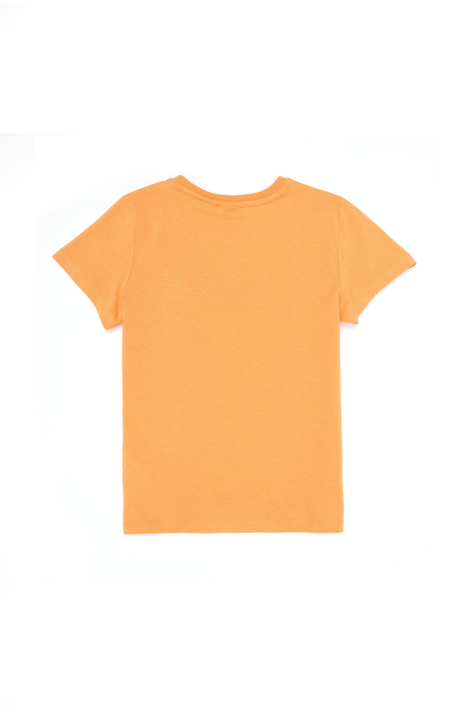 Orange Short Sleeve T-Shirt With Graphics - BEVAVA